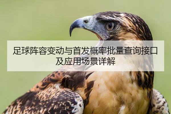 足球阵容变动与首发概率批量查询接口及应用场景详解